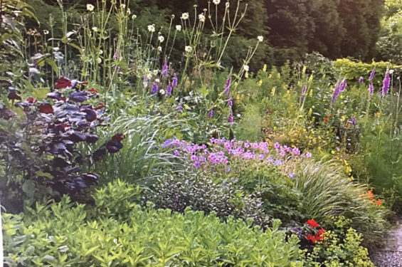 Herbaceous Border