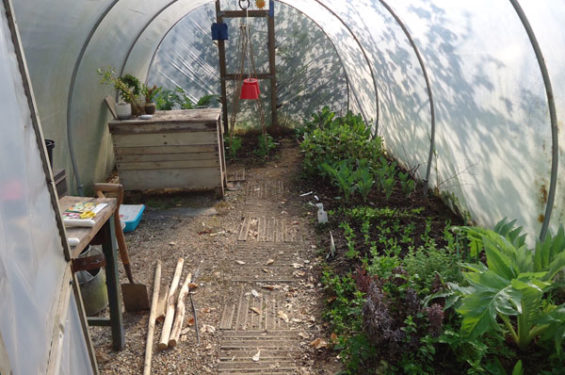 Poly Tunnel & Orchard